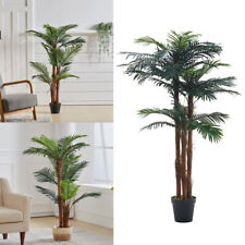 Realistic Phoenix Roebelenii