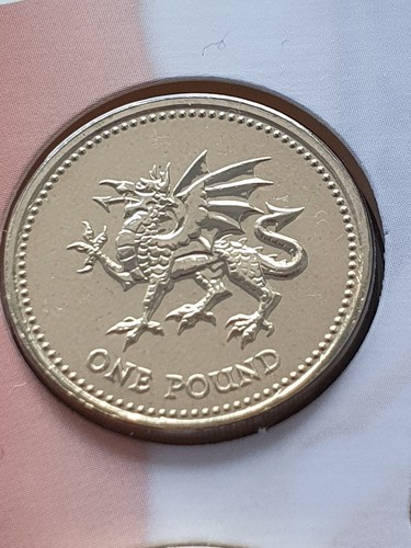 2000 bunc welsh dragon - welsh,