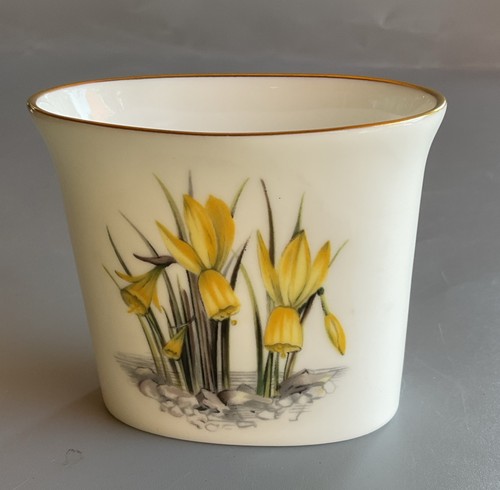 Vintage royal worcester fine - vintage,