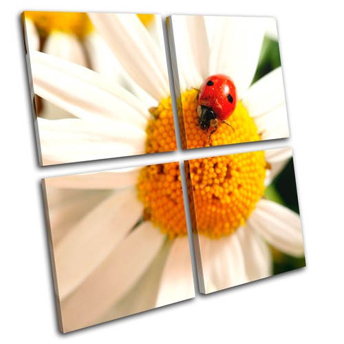 Daisy ladybird floral - floral, multi