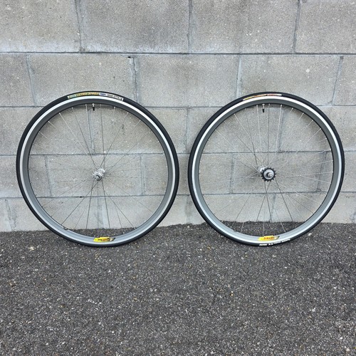 Velocity deep campagnolo - velocity, v