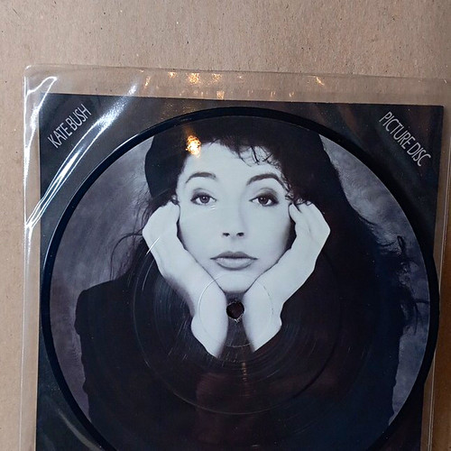Kate bush this - bush, work