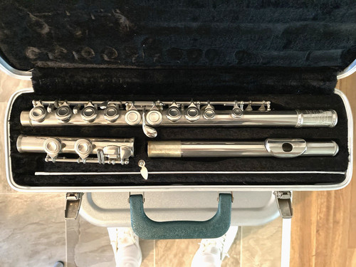 Bundy flute silver case - flute,