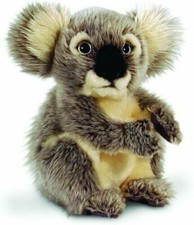 Koala bear plush toy - bear,