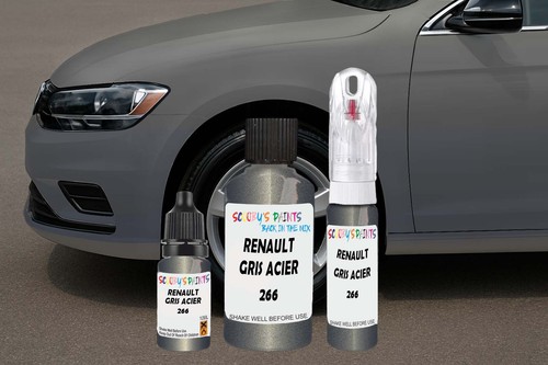 Touch paint for renault - touch, up