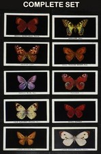 BRITISH BUTTERFLIES PHILLIPS