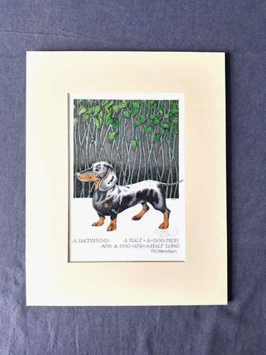 Simon drew dachshund sausage - drew,