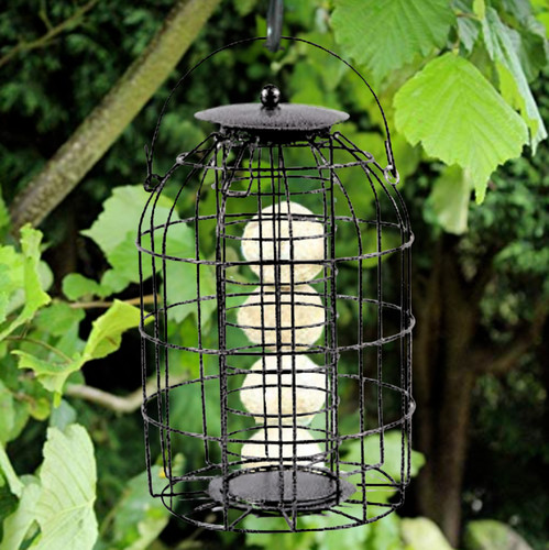 Large hanging suet - , ball