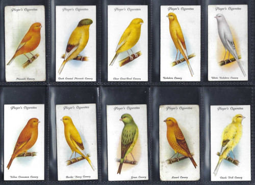 Player aviary and - -, birds