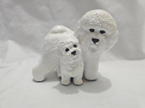 Ron hevener white bichon frise - ron,