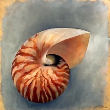 Original Painting "Nautilus