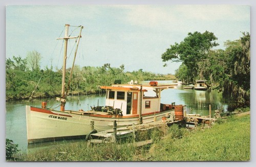 Louisiana bayou country - bayou,