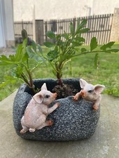 2 Pigs trough Planter resin