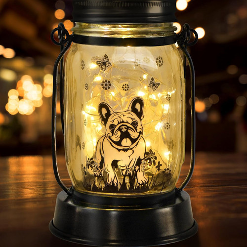 French bulldog frenchie - french,