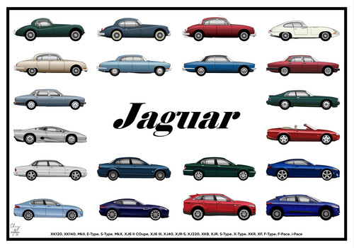 Poster jaguar collection - jaguar,