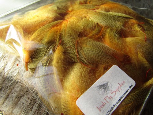 Ifs silver mallard dyed golden - silver,