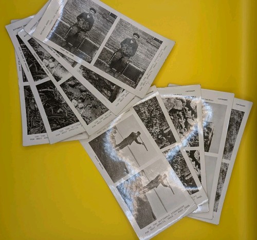 Vivascope stereoscope cards - vivascope,