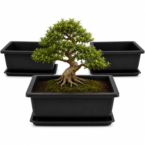 Pack plastic bonsai pots - plastic,