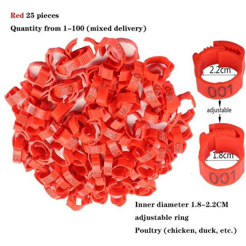 Leg rings for foot birds - for,