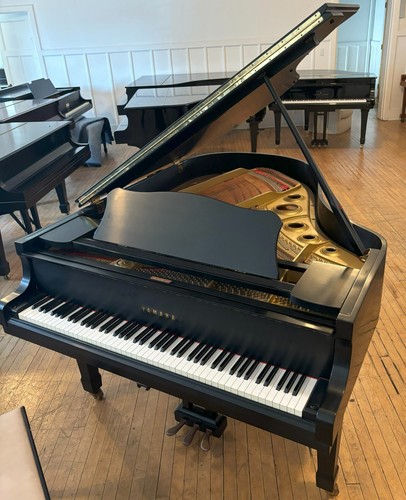 Yamaha conservatory - yamaha,