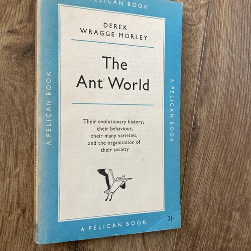 The ant world derek - ant,