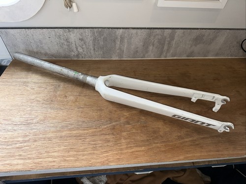 Giant road bike forks - bike, disc
