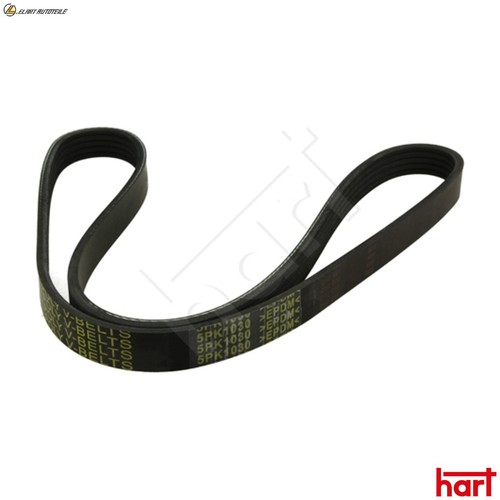 Ribbed belt 368 - belt, for