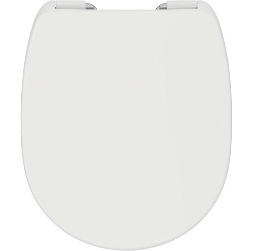 Ideal standard concept - ideal,