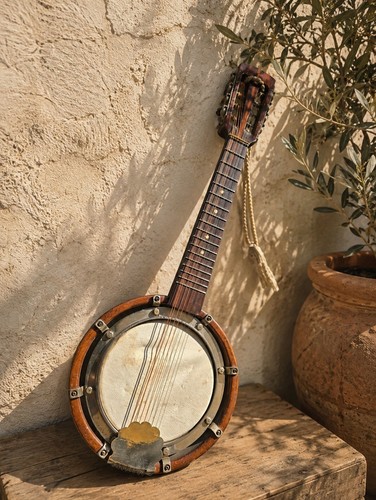 Vintage string banjo - vintage,