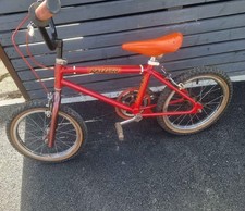 Raleigh Burner 1980