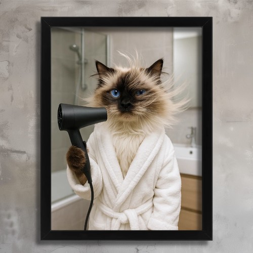 Funny cat bathroom wall art - cat,