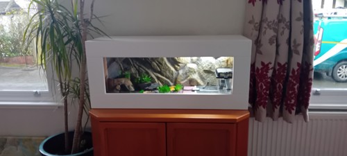 Reptile vivarium and - vivarium,