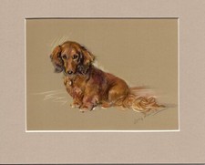 Lucy Dawson  ~ Long - Haired