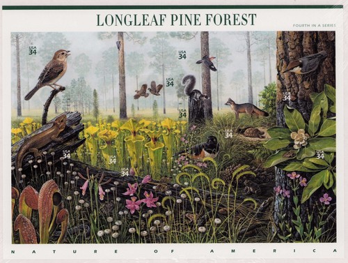 2002 3611 34c longleaf - 2002, us