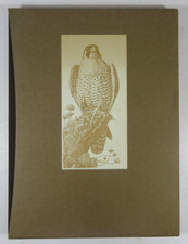 "Tunnicliffe's Birds: Measured