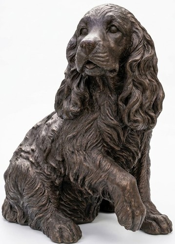 Springer spaniel dog - springer,
