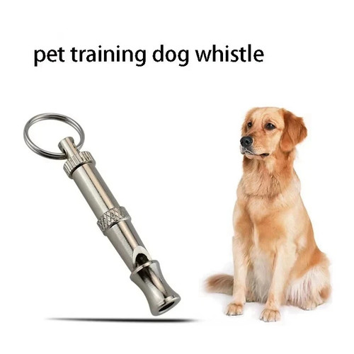 Dog whistle trainer - dog, trainer,