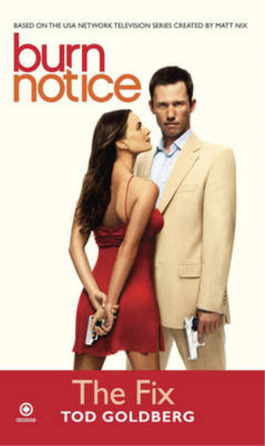 Burn notice the fix - burn,