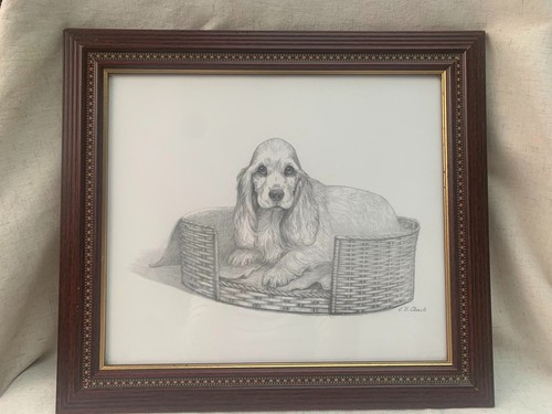 Signed cocker spaniel - signed,