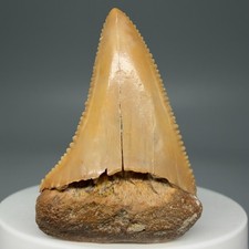 Nice, Light Colors 1.82"