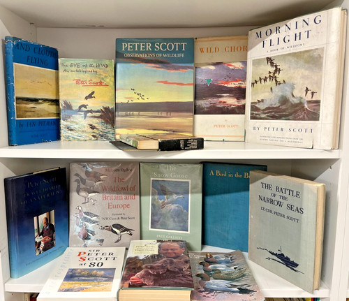 Peter scott wildlife - peter, natural