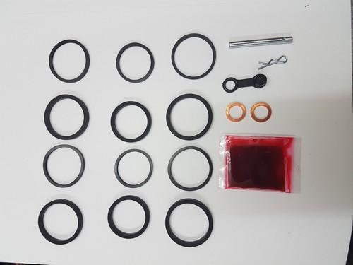 Front caliper seal rebuild - 1,