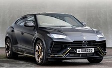 AD06 GGG Number Plate for Dog