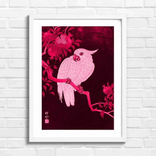 White cockatoo with - cockatoo,