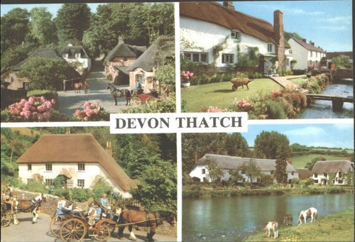 Vintage john hinde devon - hinde,