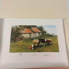 David Shepherd Signed Limited Edition Art Print - The Orphans 