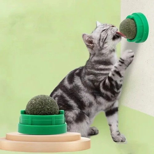 Catnip wall toys rotatable - wall,