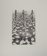 M.C. ESCHER: Autumn And Carp