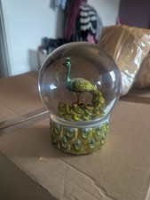 HEAVEN SENDS PEACOCK SNOW