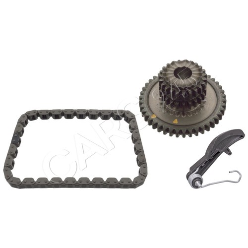 Oil pump drive chain - oil,